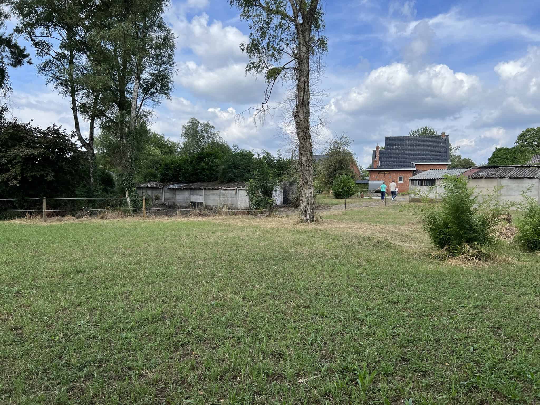Het nieuwe huis
