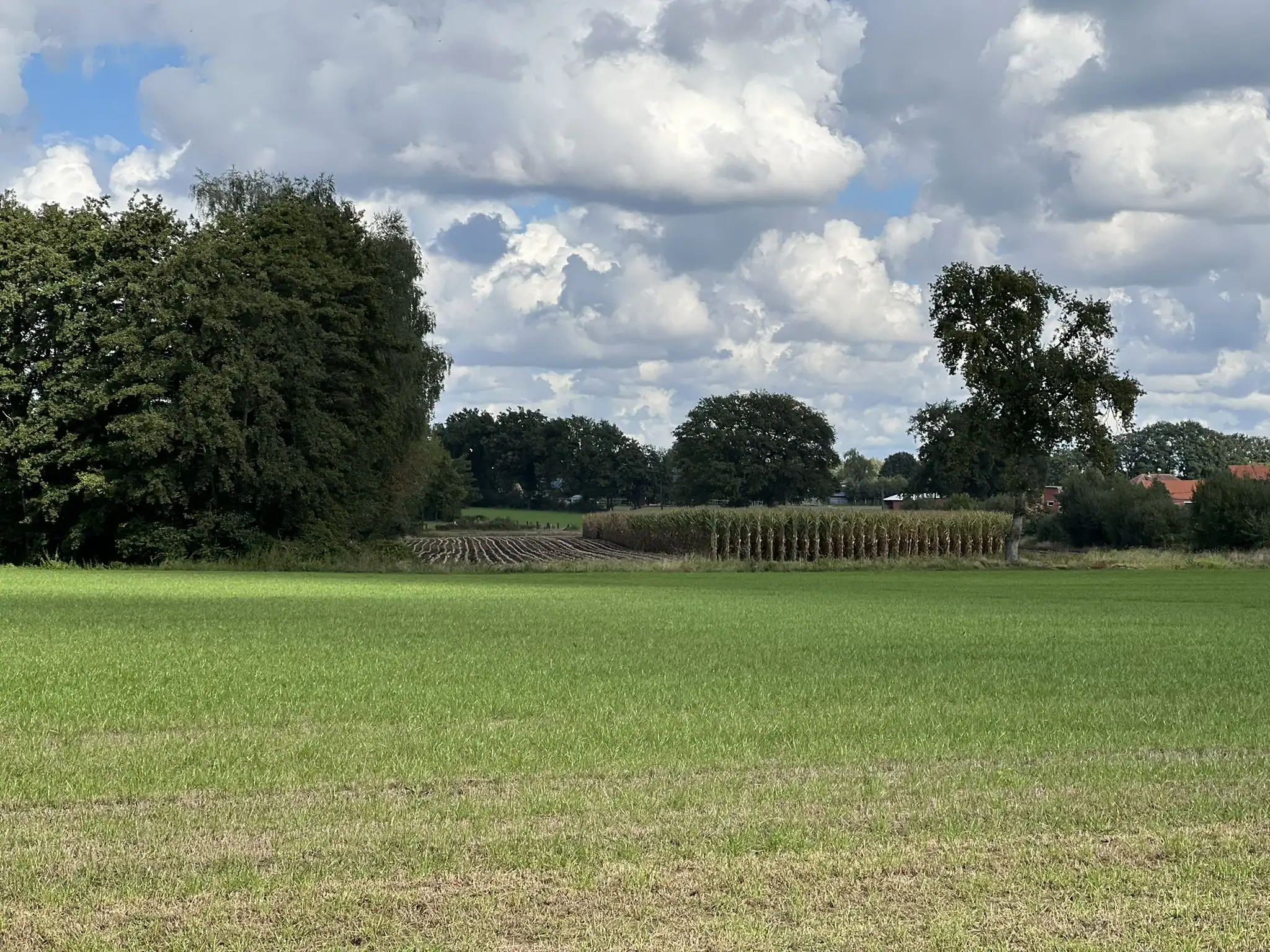wonderschone natuur - straightfrom.nl