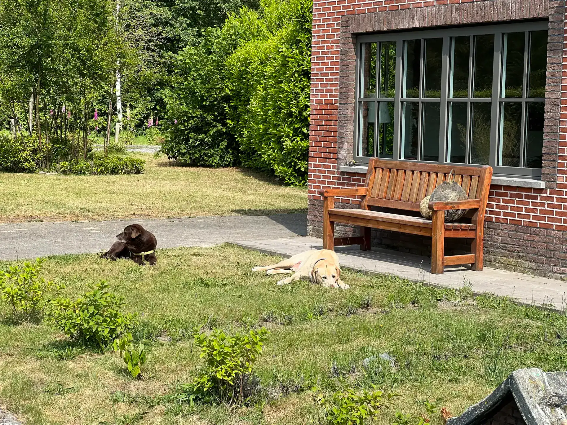 Wonderbaarlijk België